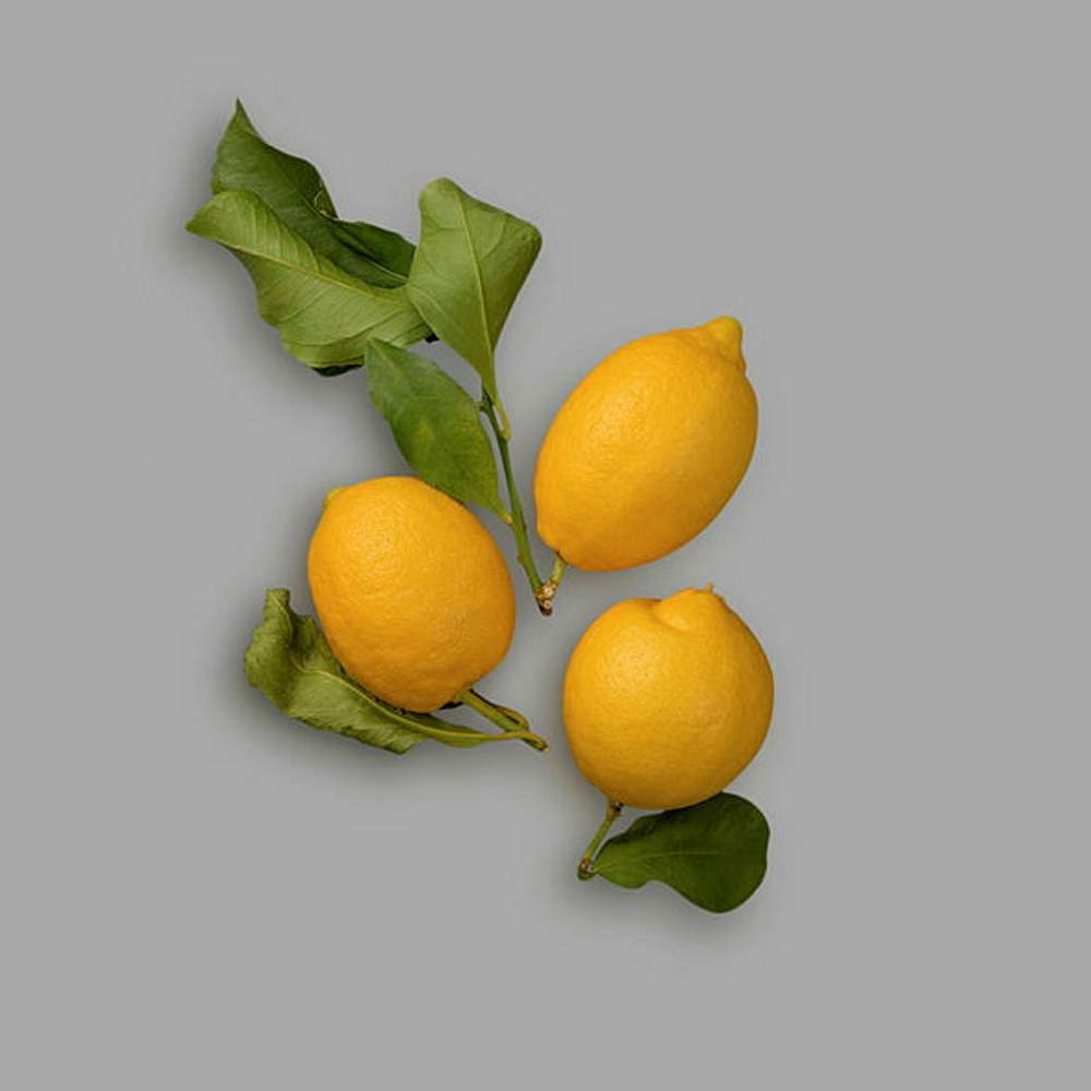 Smaken av Verden sitron Amalfi