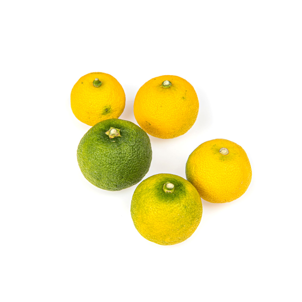 Lime Sudachi kg