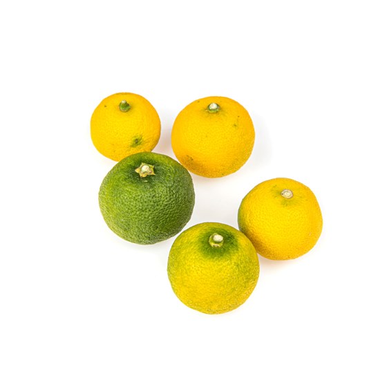 Lime Sudachi kg