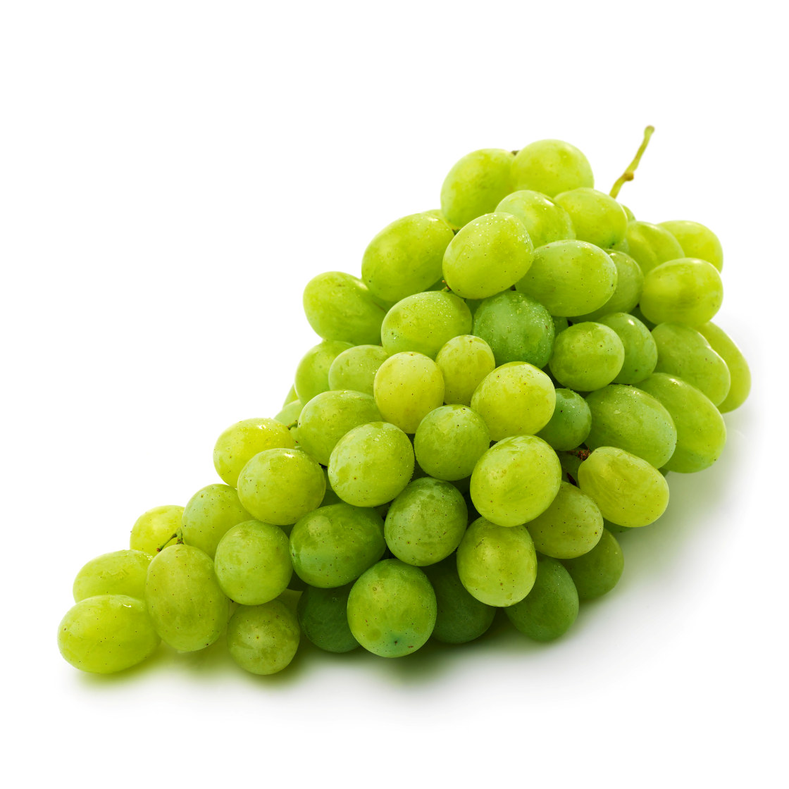 Drue grønne stenfri 500gr