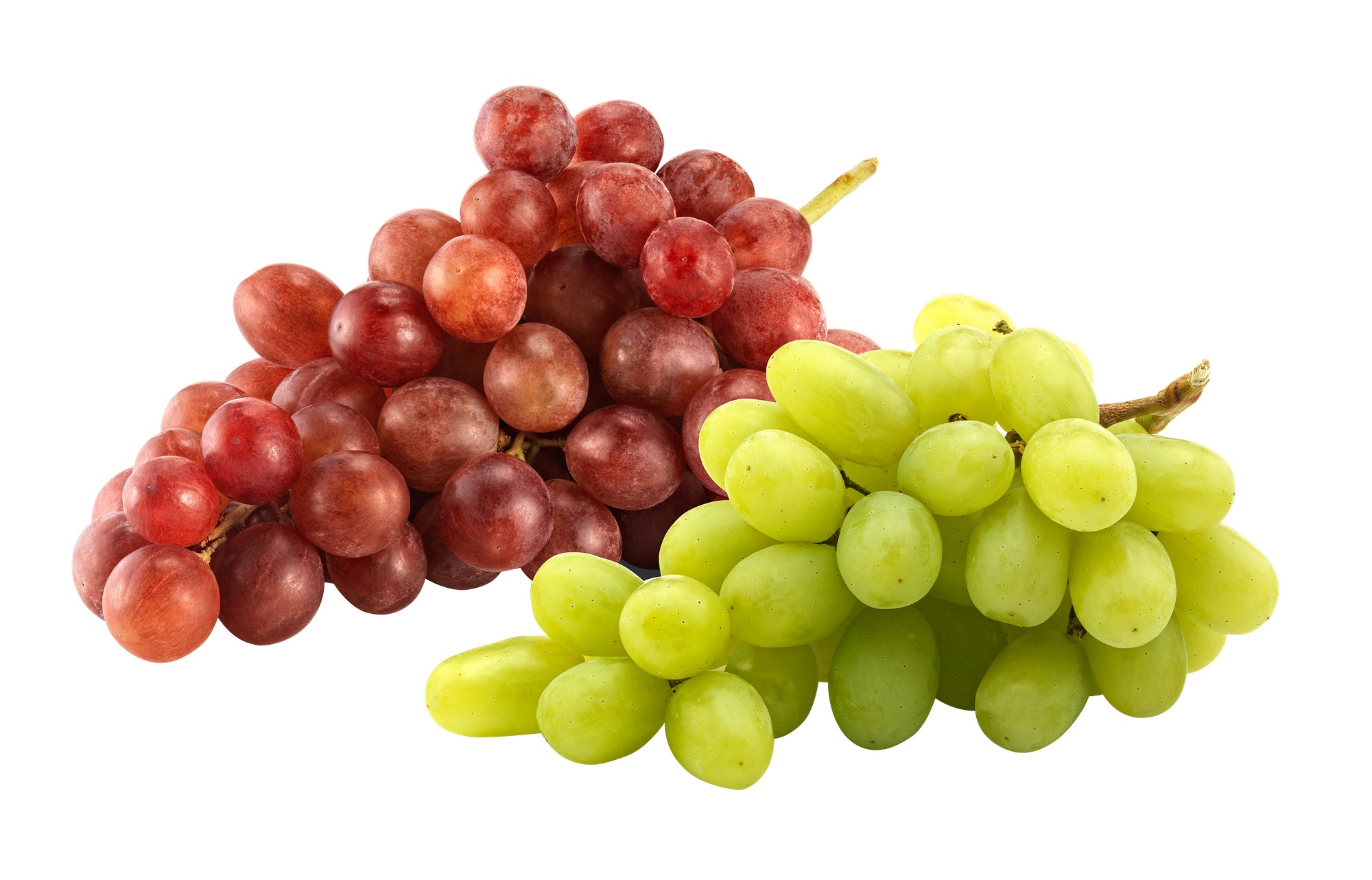 DRUER GRØNNE PREMIUM 10x500