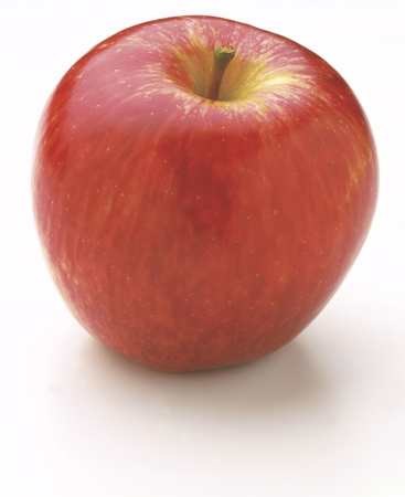 Eple rød økologisk stk