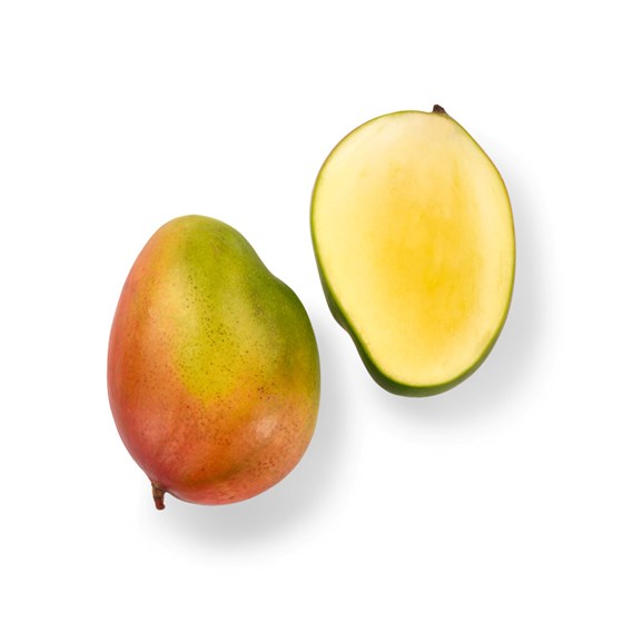 Mango modnet 4Kg