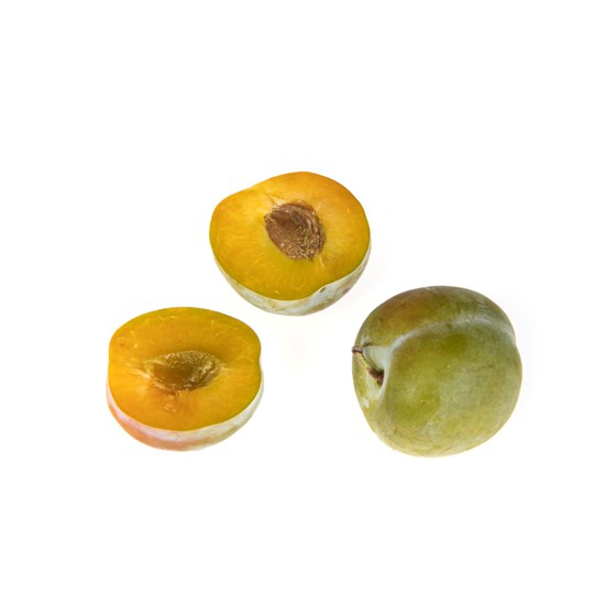 Plomme Reine Claude 6kg