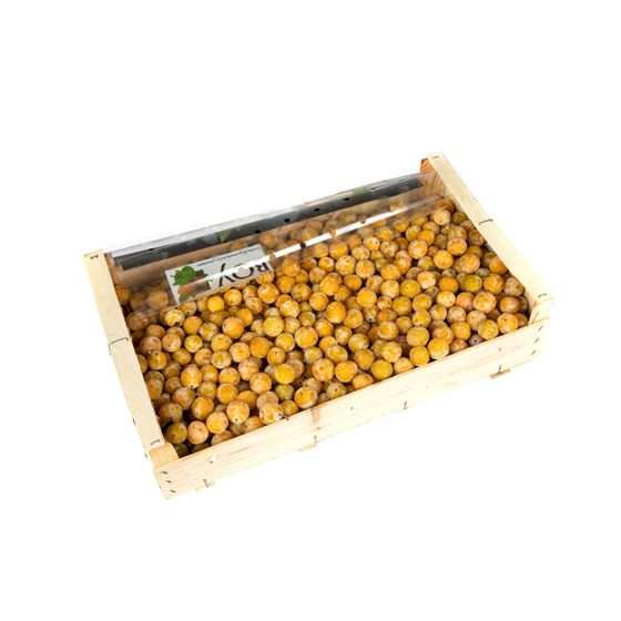 Plomme Mirabelle 6kg
