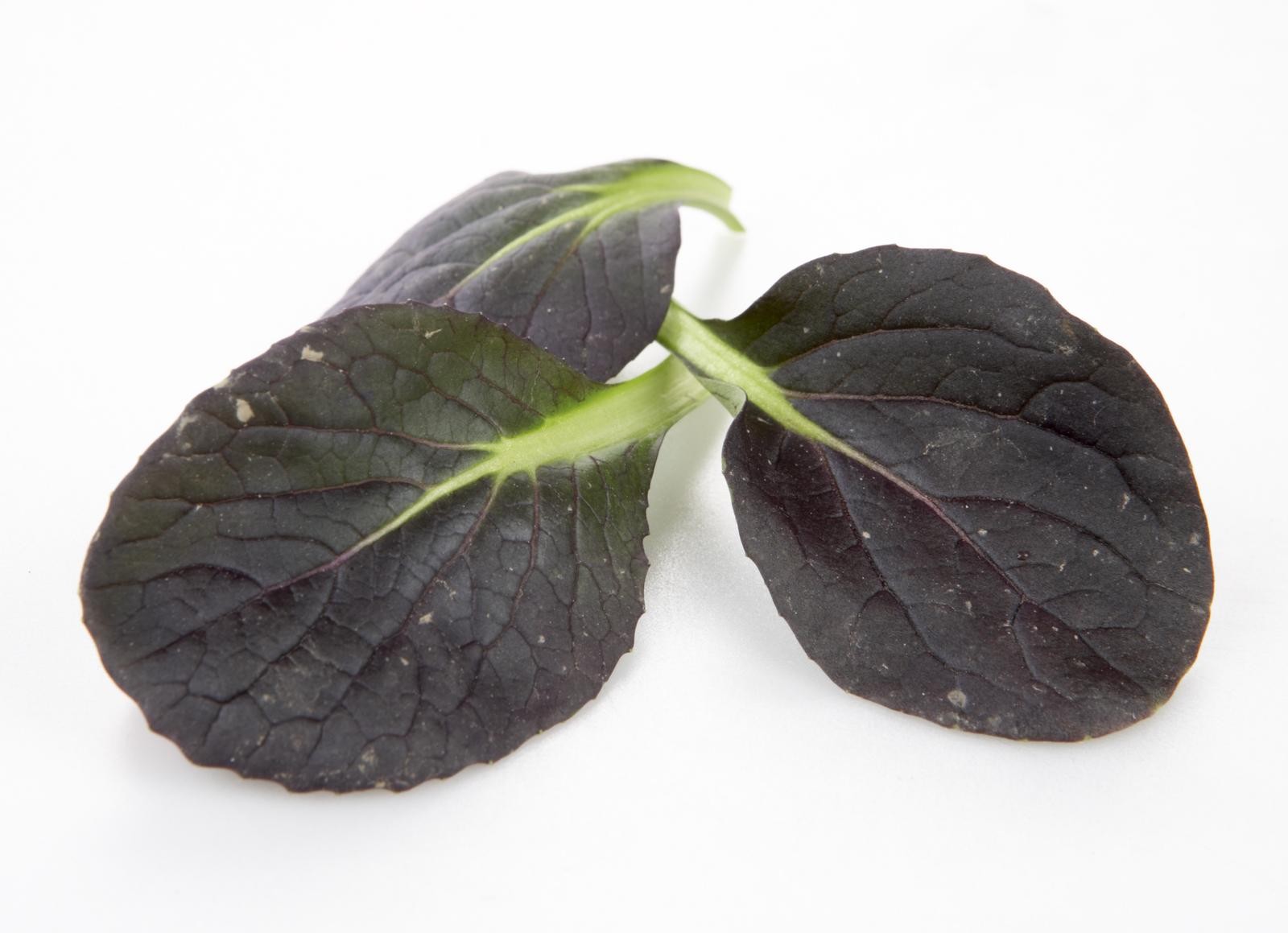 BABYLEAVES TAT SOI PK