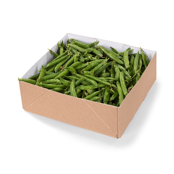 ERT PETIT POIS GALIS 3 KG