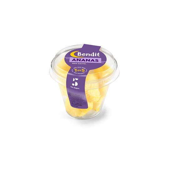 ANANAS SHAKER 6X120 G BENDIT