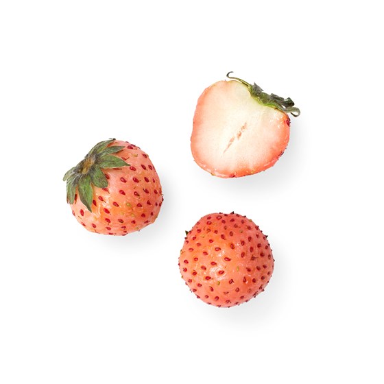 FERSKENBÆR 6x100 GR