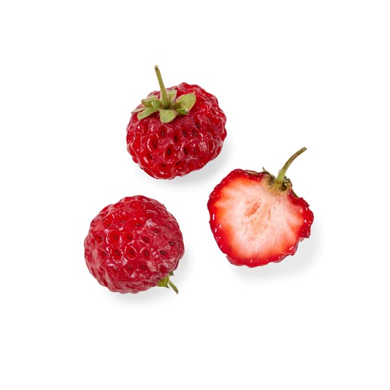 STRASSBÆR 100 GR