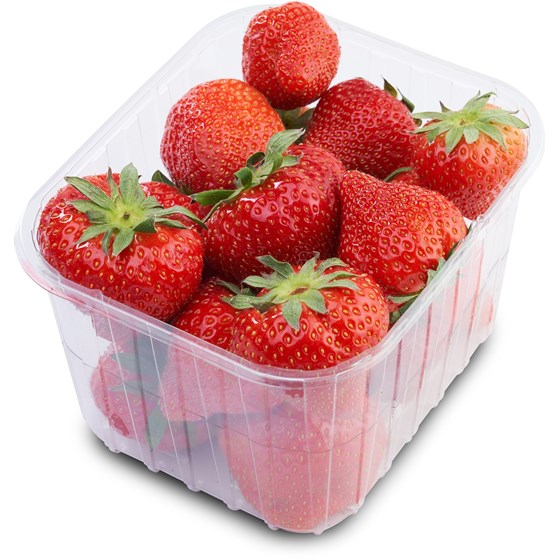 JORDBÆR SVENSK 500 GR.