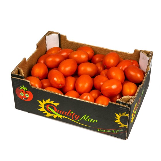 INTENSE TOMATER 57/67