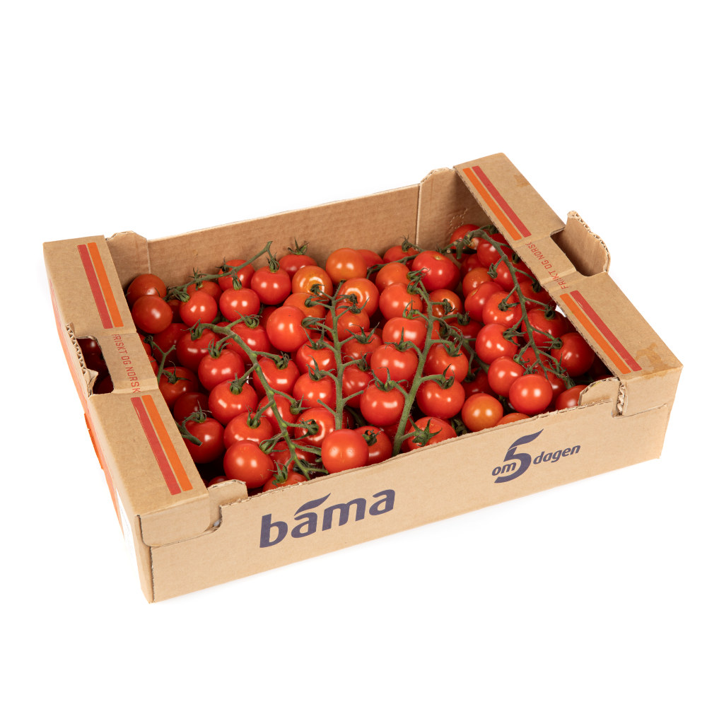 Tomat Cherry klase 3 kg Norsk