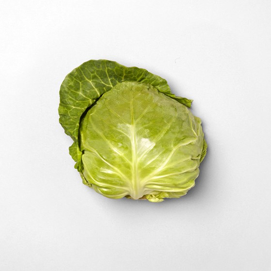 Sommerkål