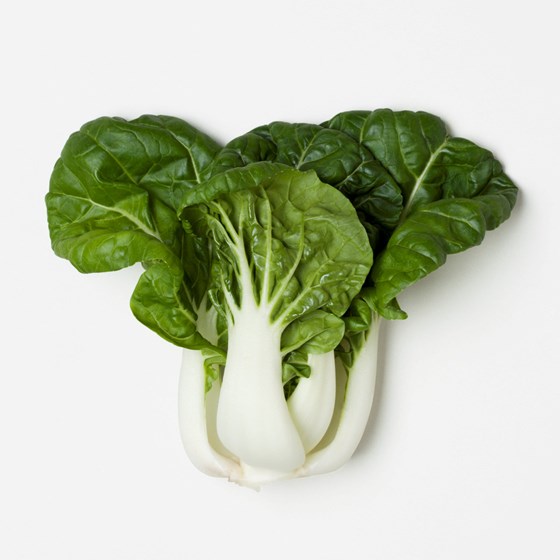 PAK CHOY MINI VEKSTHUS 12x2PK