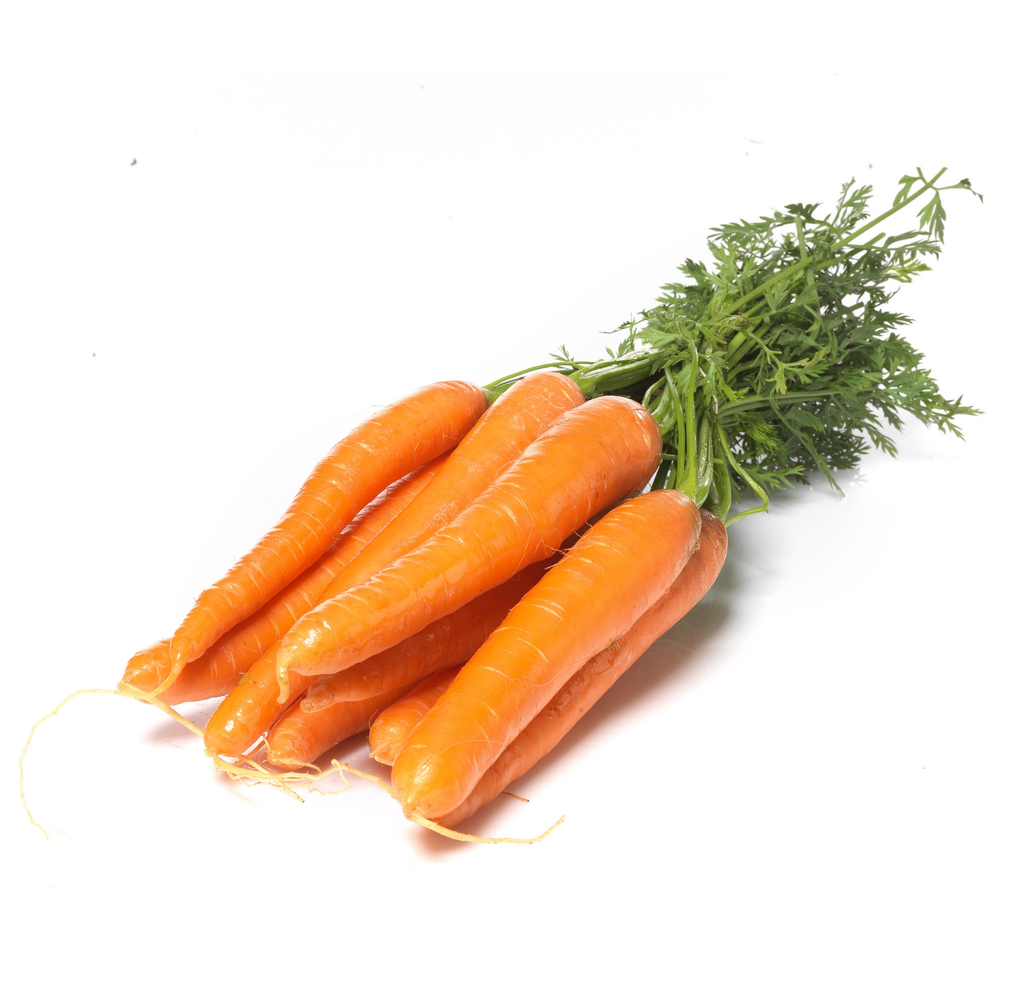 GULROT ØKOLOGISK STK