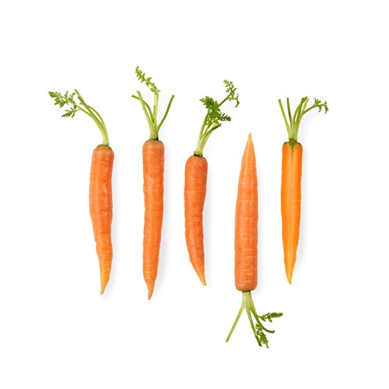 GULROT MINI ORANSJE 4x400 GR