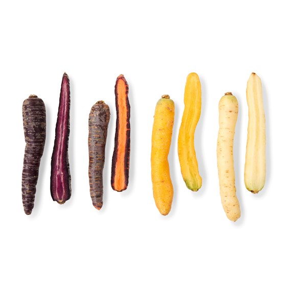 GULROT RAINBOW 5 KG