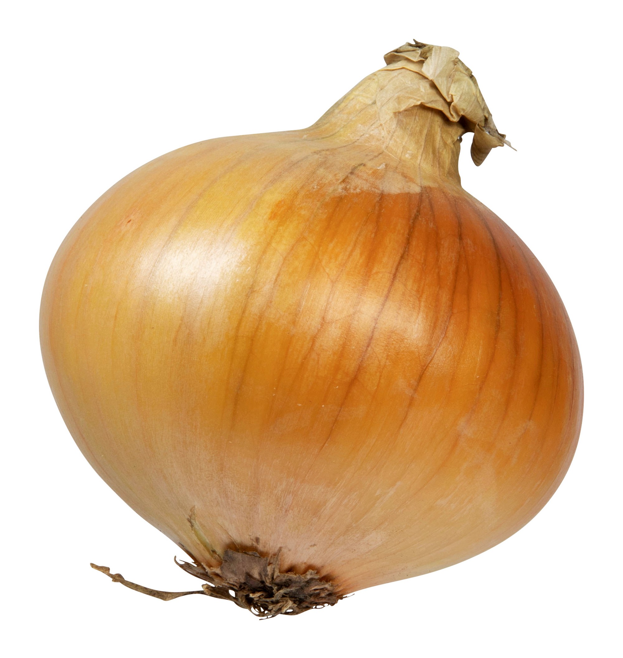 Løk 5 kg