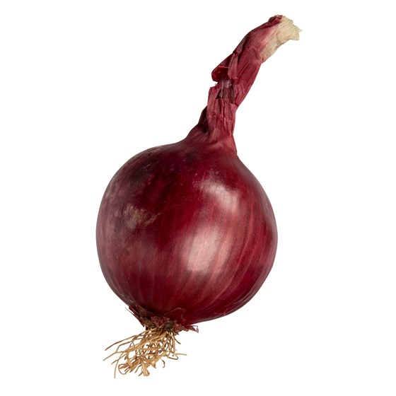 Rødløk økologisk 2 kg