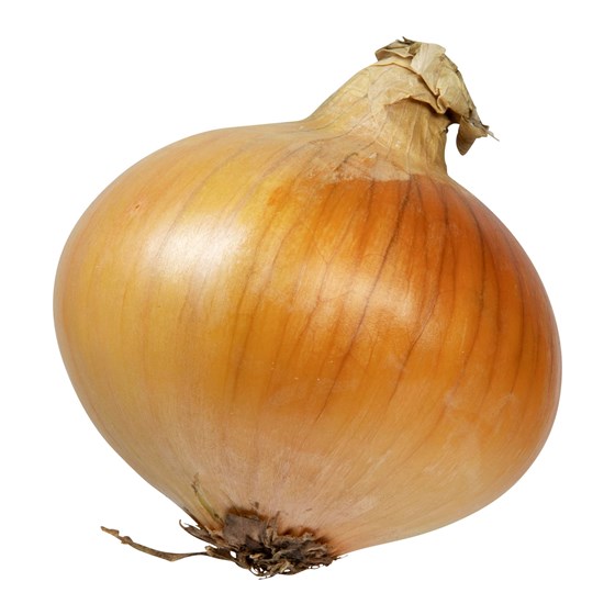 Gul løk økologisk 2 kg