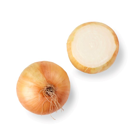 SØTLØK