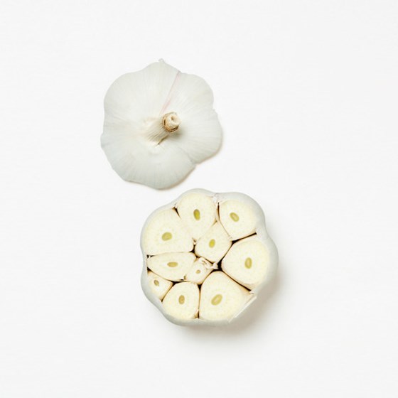 HVITLØK PK 100G