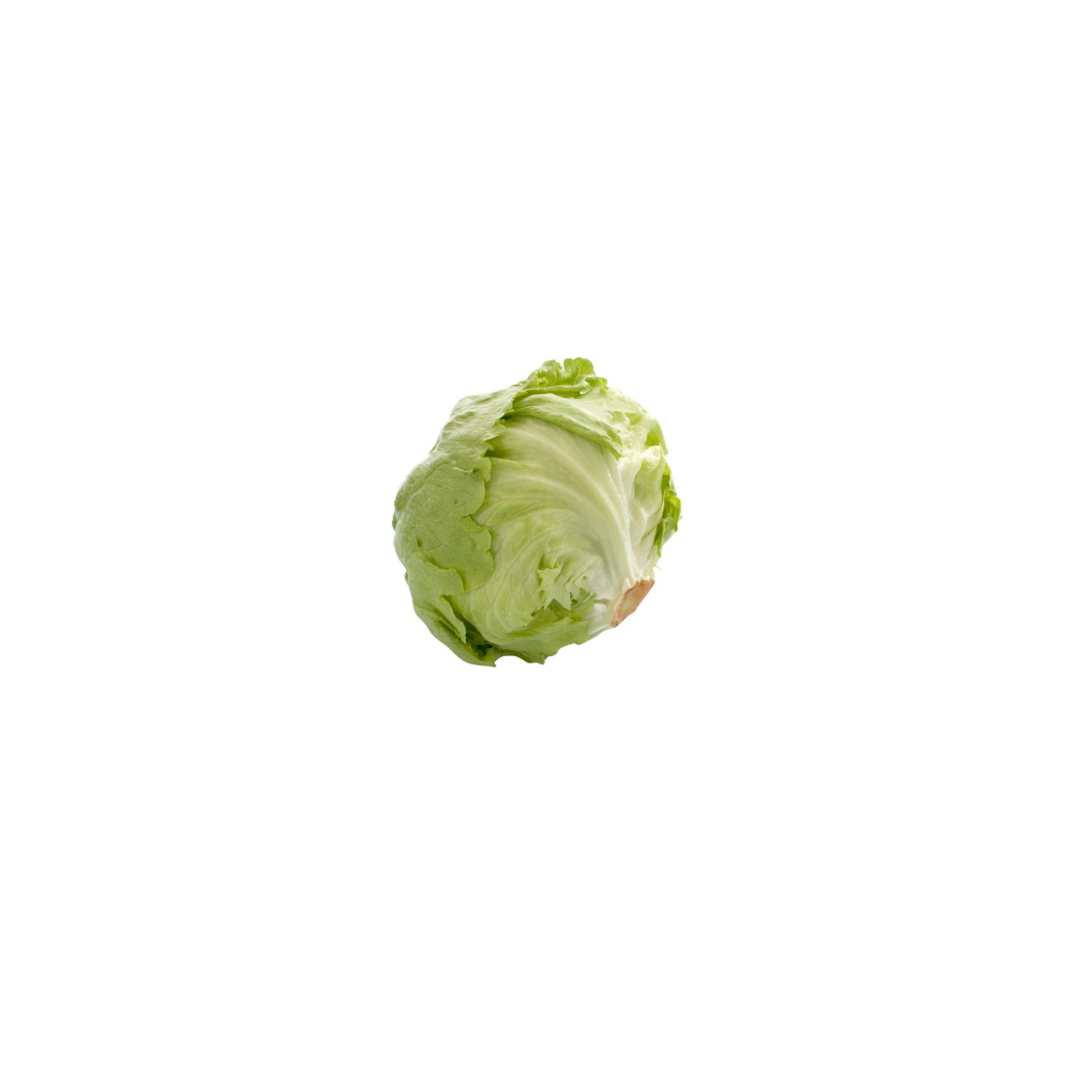 LAVPRIS ISBERGSALAT