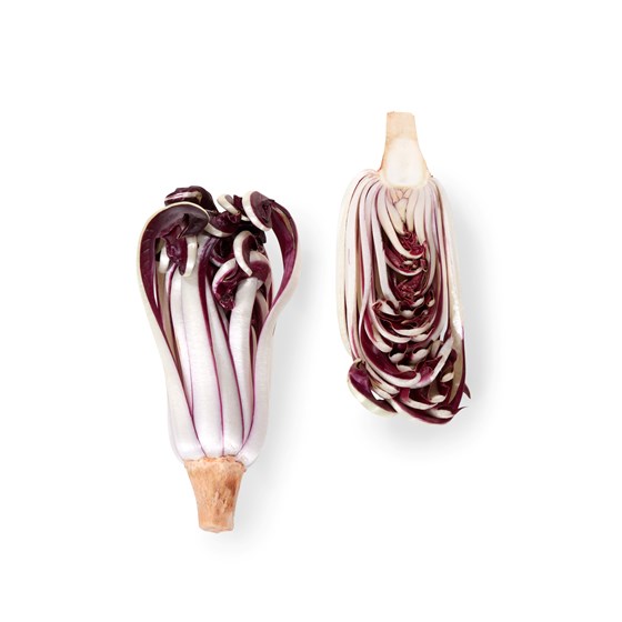 SALAT RADICCHIO TARDIVO