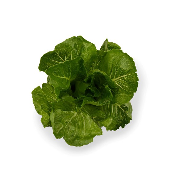 ONNA SALAT ROMEO