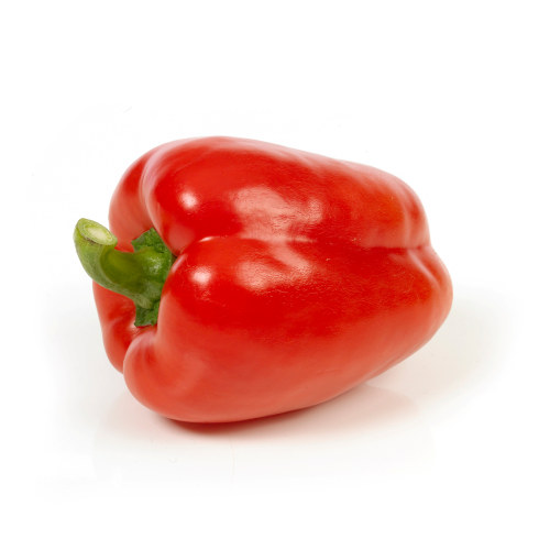 PAPRIKA RØD ØKOLOGISK