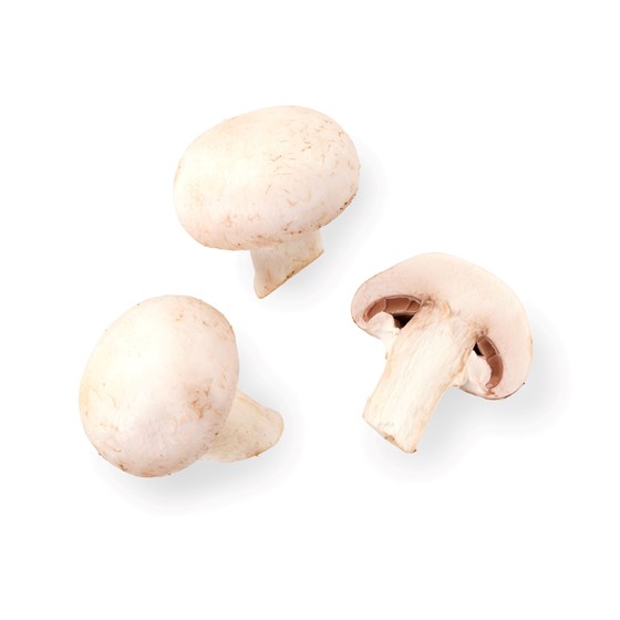 CHAMPIGNON-SOPP SMÅ