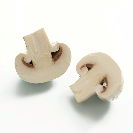 CHAMPIGNON 1 KG
