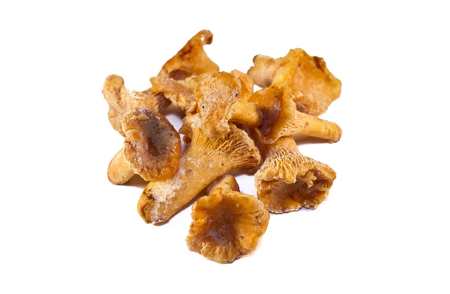 KANTARELL-SOPP FROSSEN