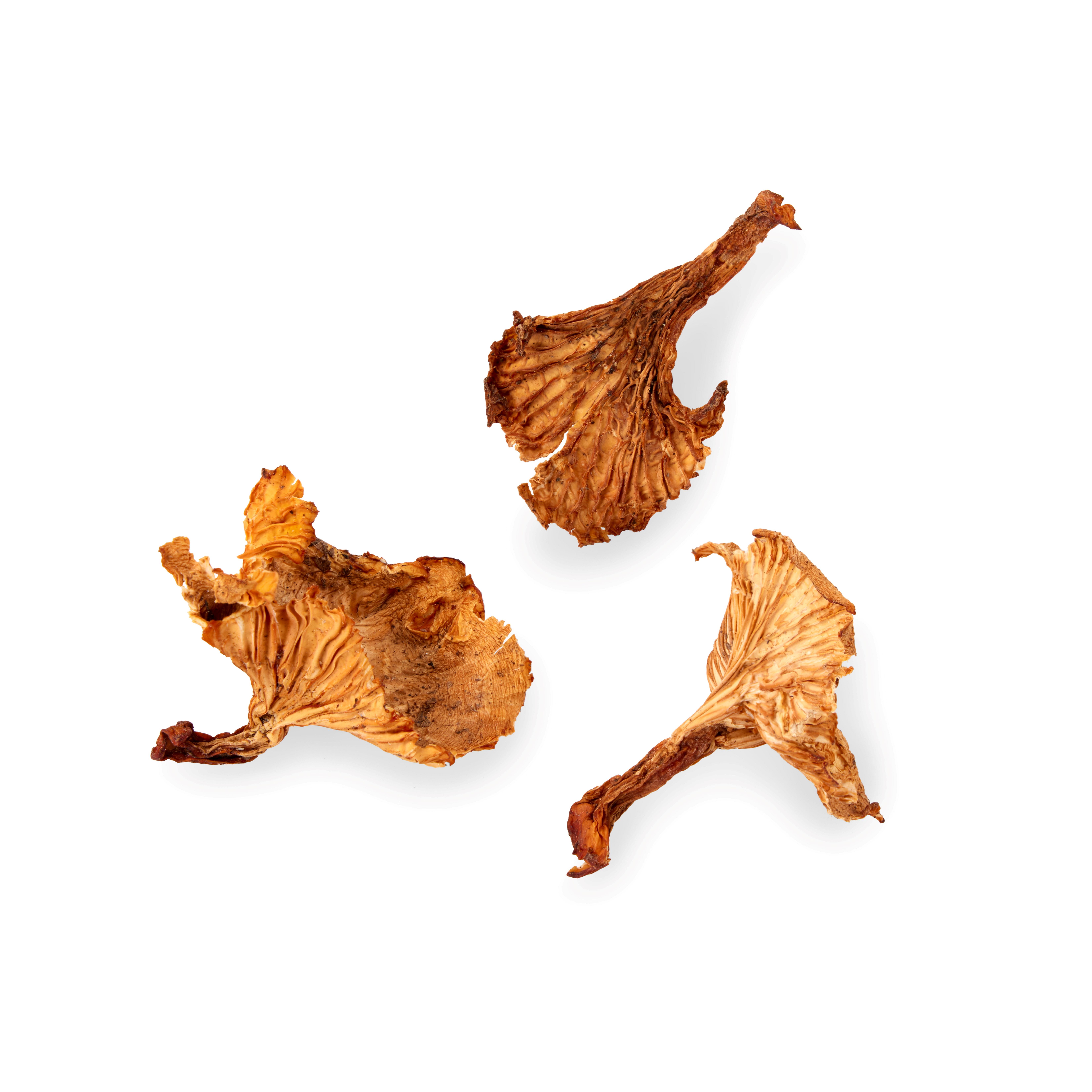 TØRK.KANTARELLER 300 GR