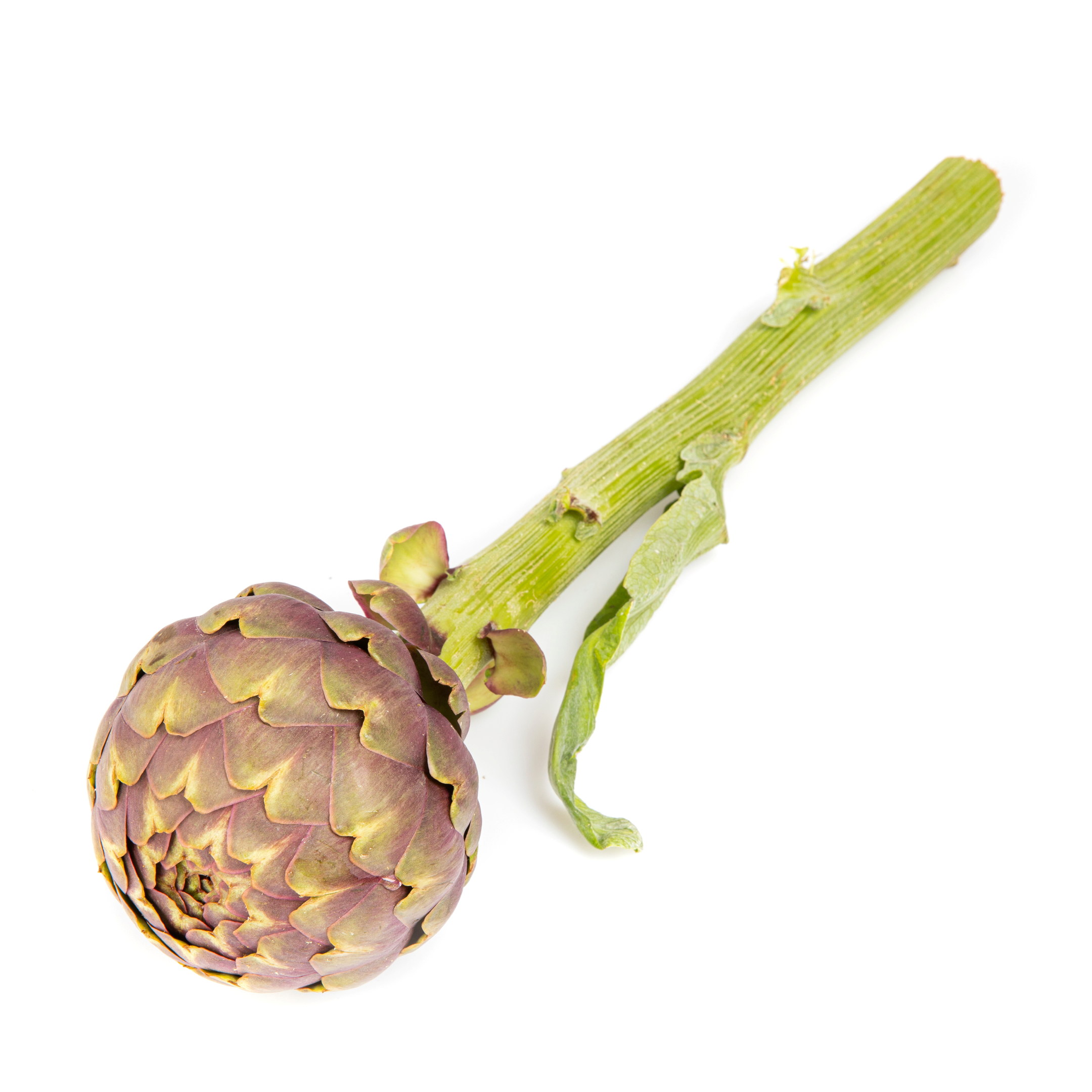 Artiskokk Mamme Romane