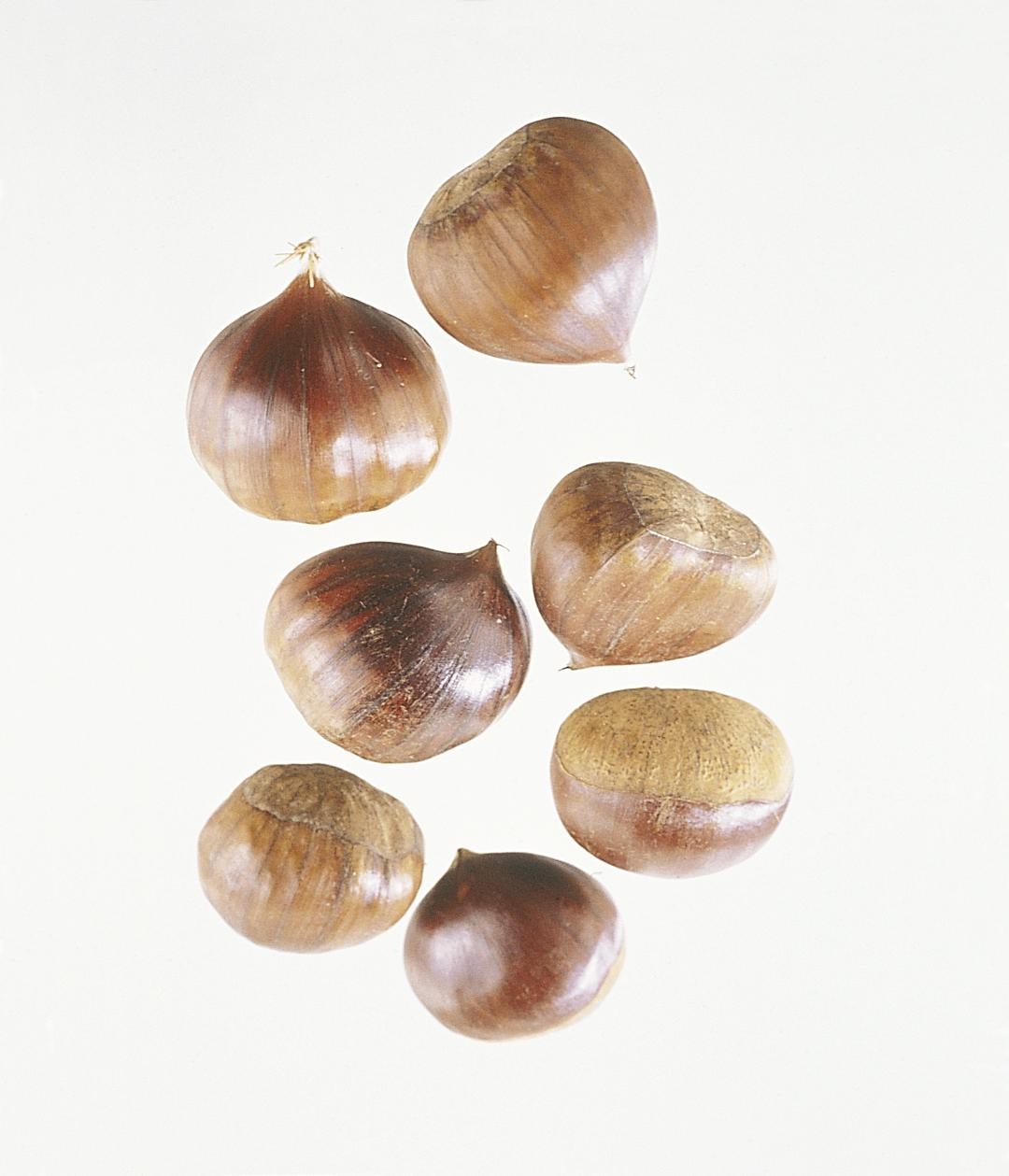 KASTANJER FERSKE 5 KG