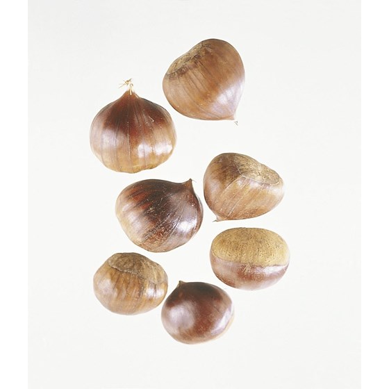 KASTANJER FERSKE 5 KG