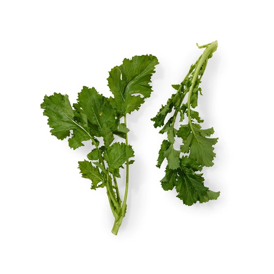 CIME DE RAPA
