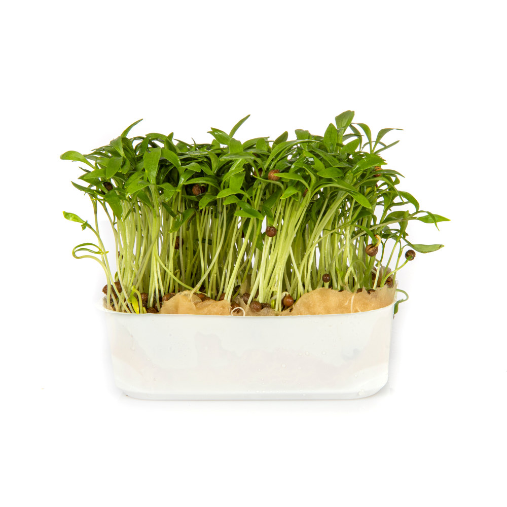 SHISO MIX