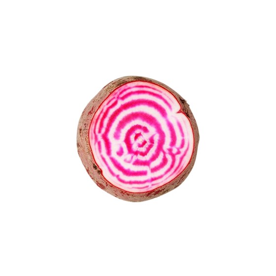 Chioggiabeter