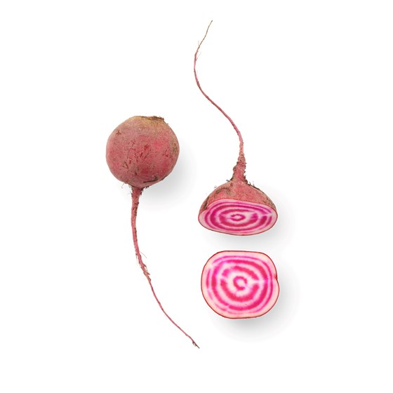 MINI CHIOGGIABETER