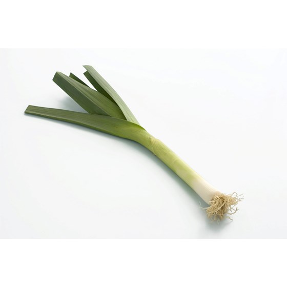 PURRELØK MINI 4x400 GR