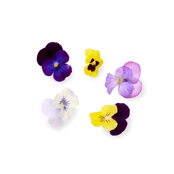 SPISELIG STEMOR MIKS 12 STK K&