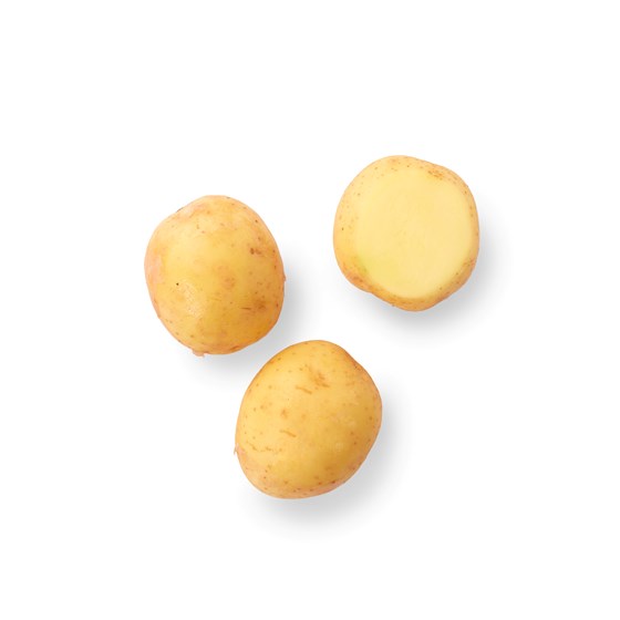 POTET B&H 10 KG 36-42 mm NO