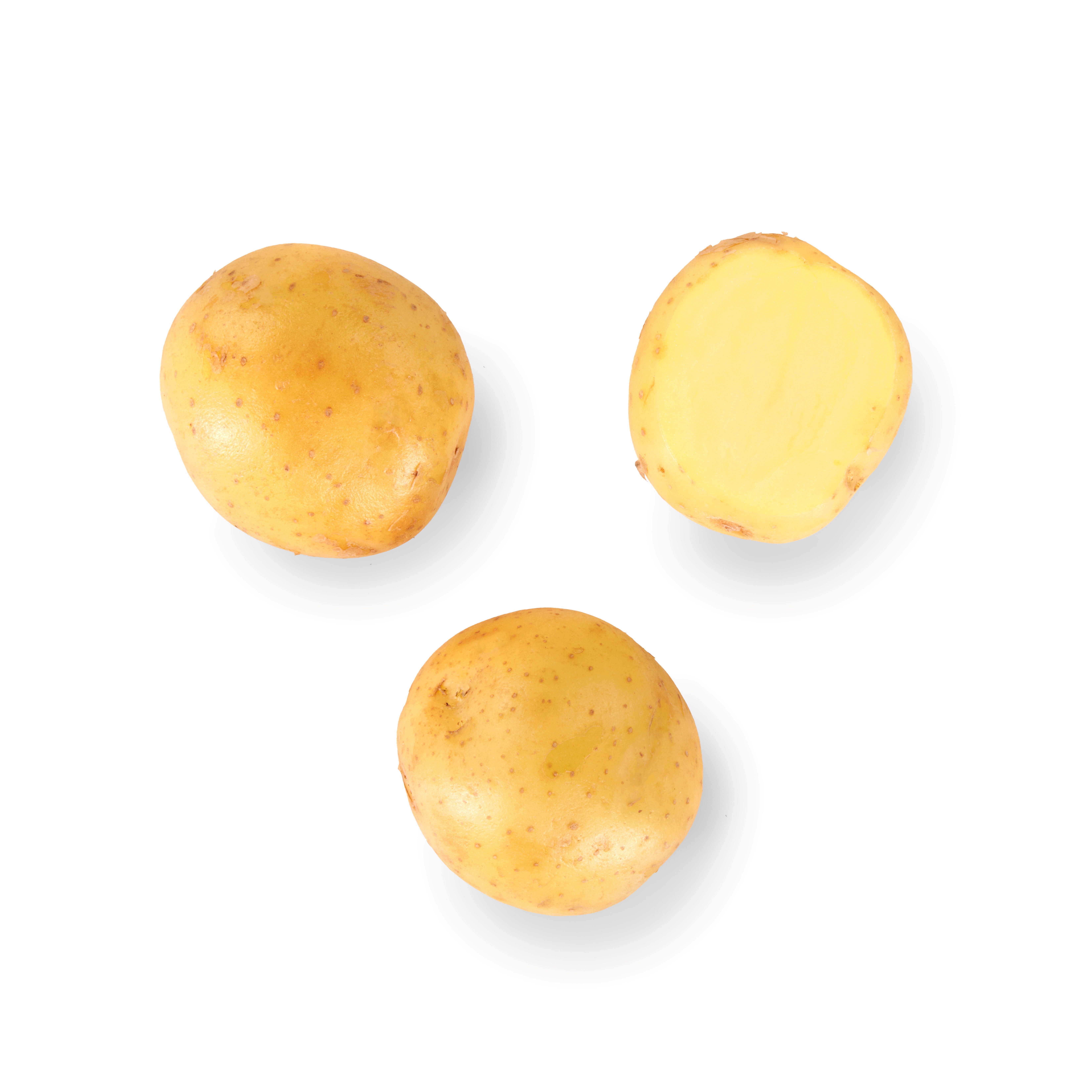 POTET SMÅPOTET 15x650 GR POSE