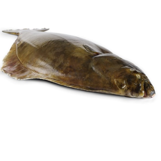 Kveite Hel 5-7 kg Fersk