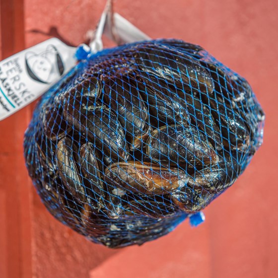 Blåskjell i nett 5 kg