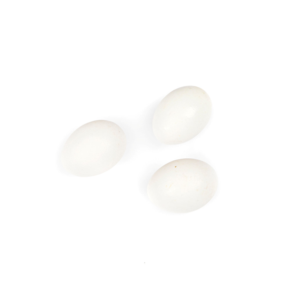 EGG L 30 FRITTGÅENDE
