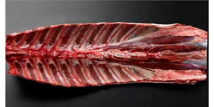 Rådyrsadel, dypfryst